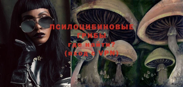 гидра Баксан