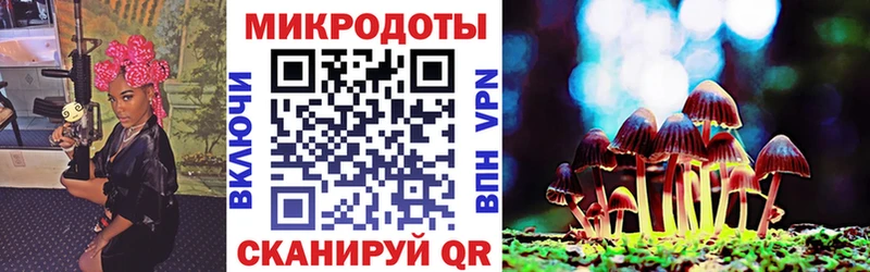 Галлюциногенные грибы прущие грибы  купить наркотик  Шелехов 